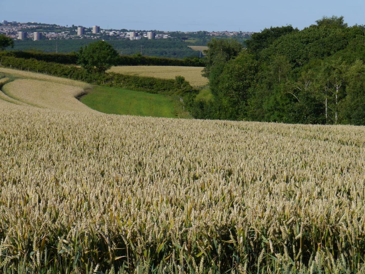 Riding Farm Cottages Ґейтсгед Екстер'єр фото