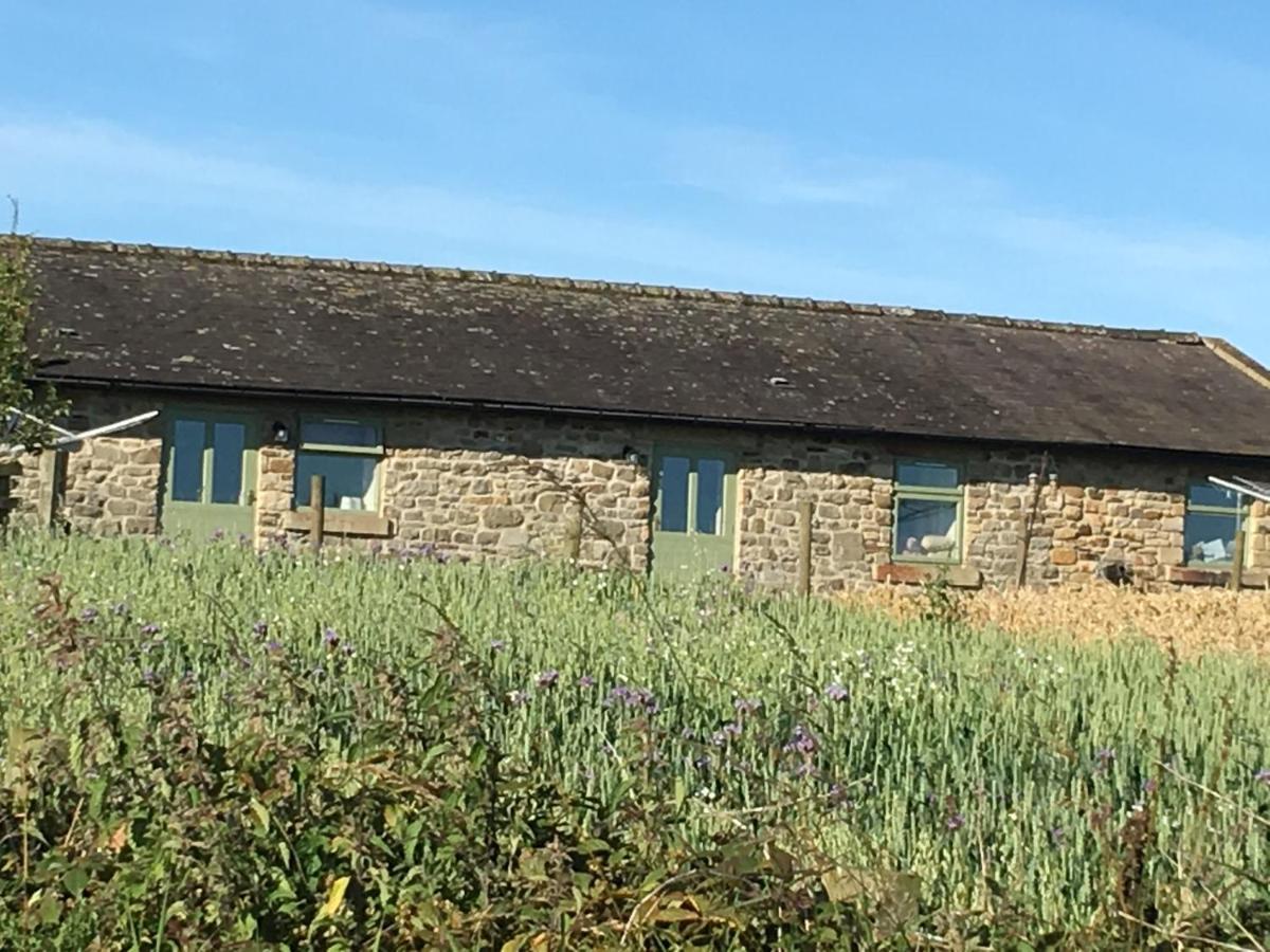 Riding Farm Cottages Ґейтсгед Екстер'єр фото